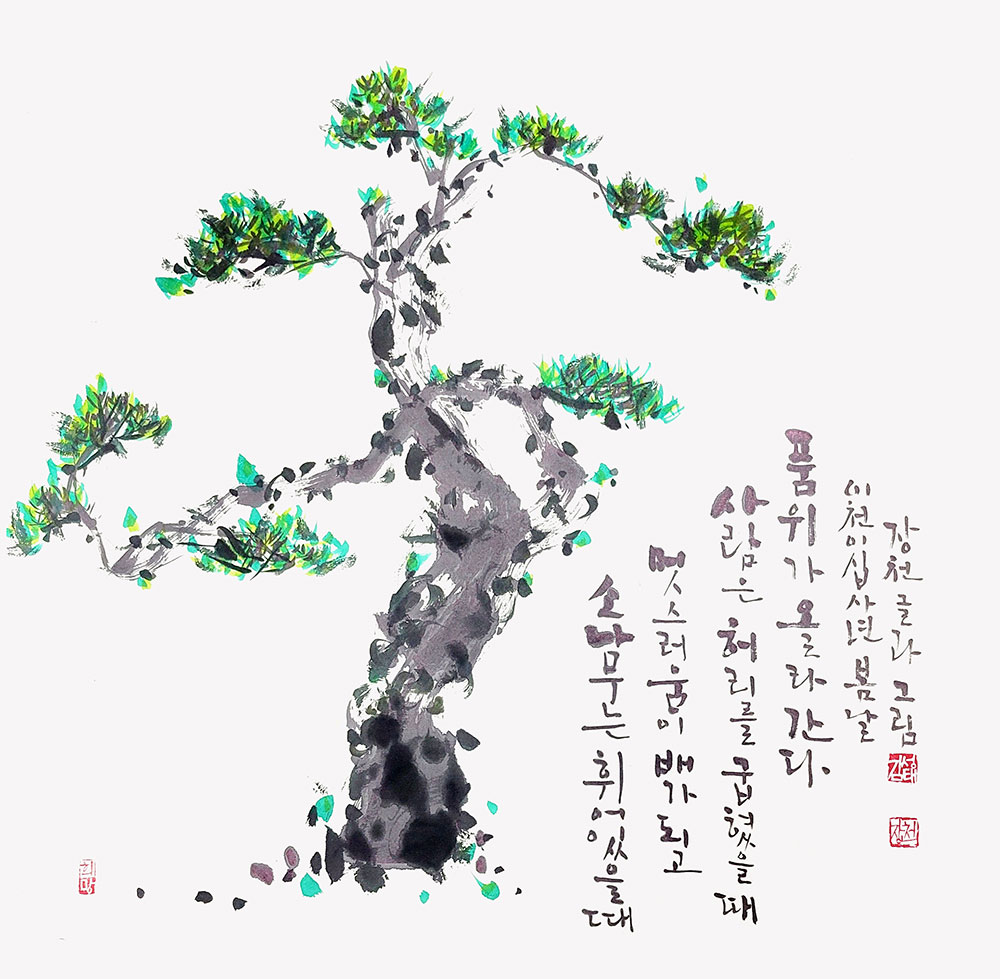 소나무(50x50).jpg